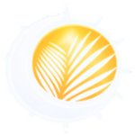 Palmetto Roofing and Solar logo