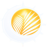 Palmetto Roofing and Solar logo